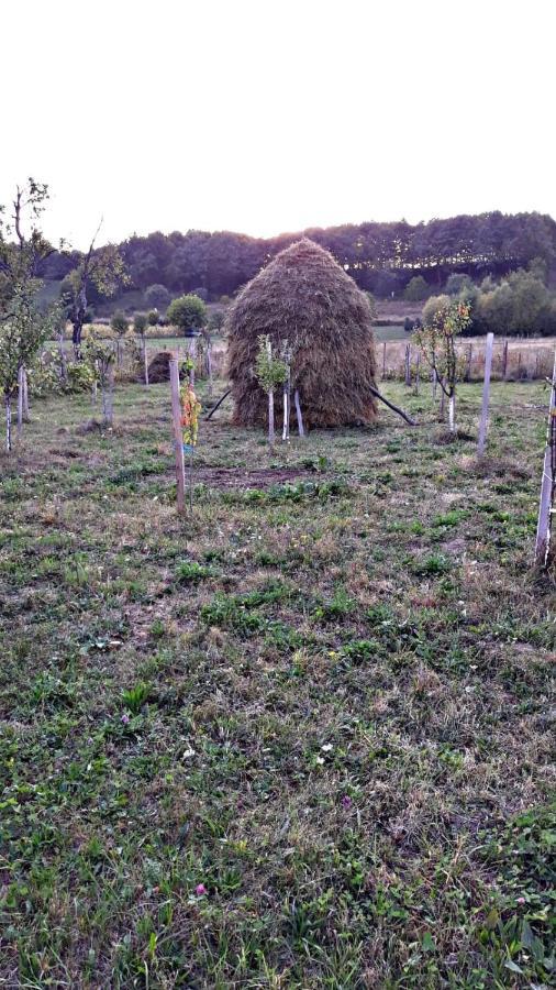 Appartamento La Curtea Veche Lapus Esterno foto