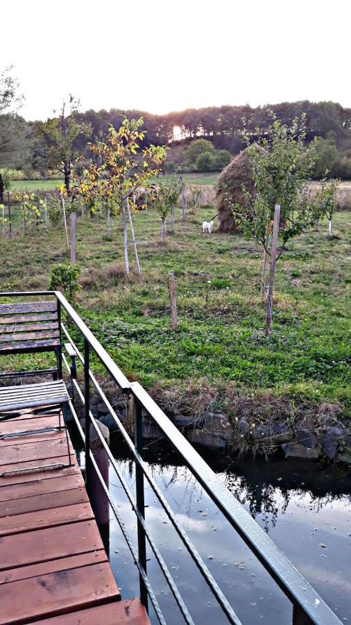 Appartamento La Curtea Veche Lapus Esterno foto