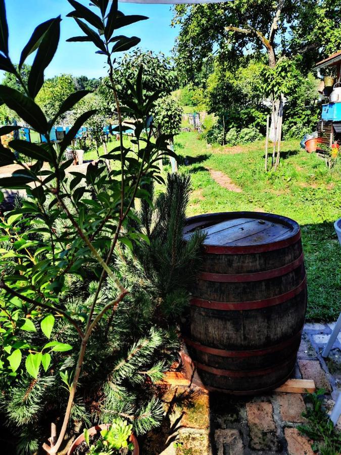 Appartamento La Curtea Veche Lapus Esterno foto