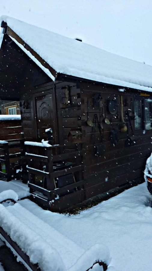 Appartamento La Curtea Veche Lapus Esterno foto