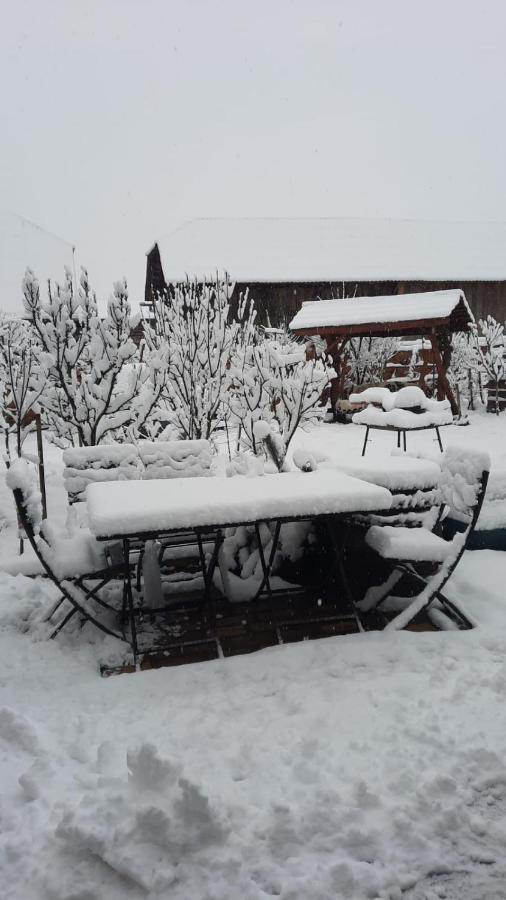 Appartamento La Curtea Veche Lapus Esterno foto