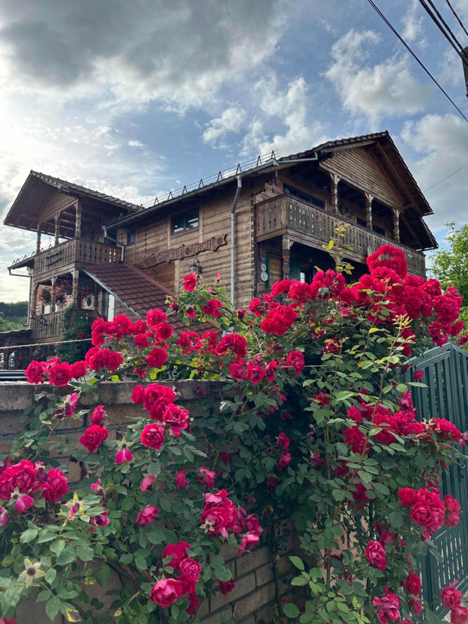 Appartamento La Curtea Veche Lapus Esterno foto